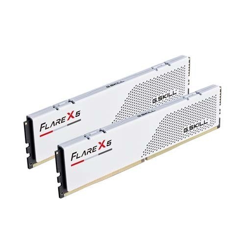 G.SKILL 64GB 32GBx2 Flare X5 DDR5 6000MHz CL28 KIT F5-6000J2836G32GX2-FX5W Desktop Memory